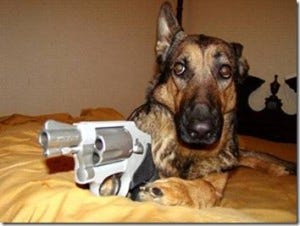Dog-with-Gun-300x226.jpg